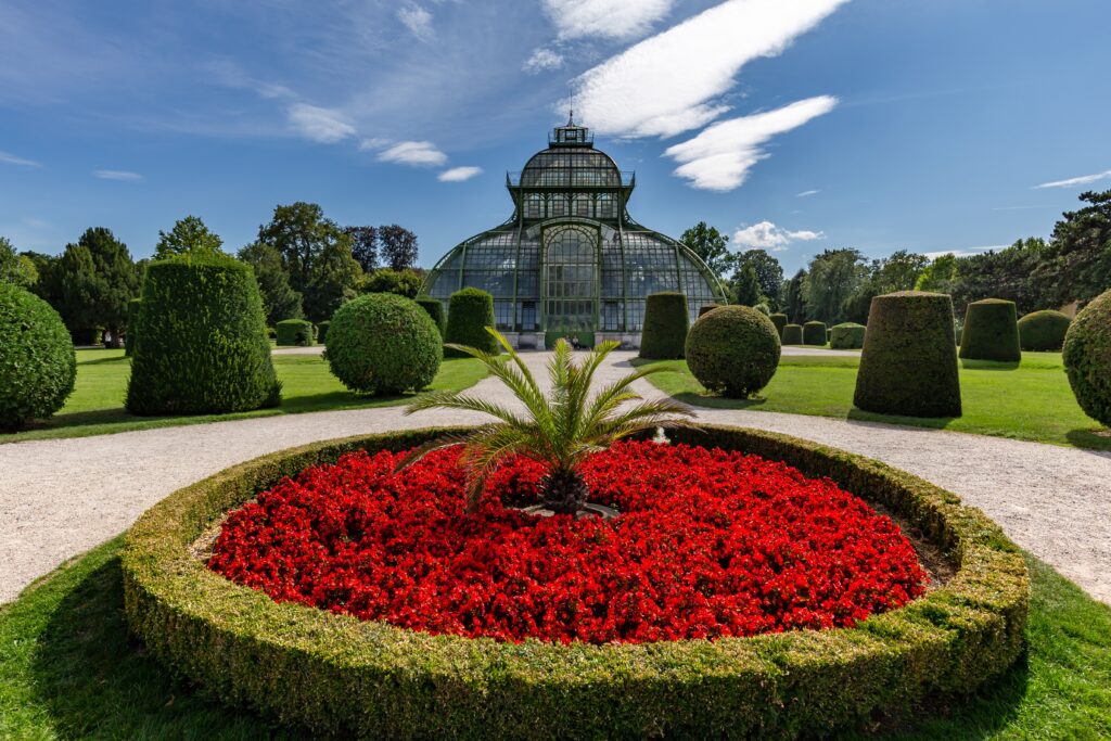 Beautiful botanical garden of schönbrunn palace in vienna, austria